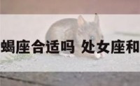 处女座配天蝎座合适吗 处女座和天蝎座搭配