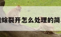 招财蟾蜍裂开怎么处理的简单介绍