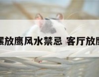 客厅摆放鹰风水禁忌 客厅放鹰摆件