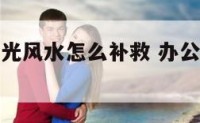 办公室没阳光风水怎么补救 办公室没有阳光养什么绿植