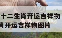 2020年十二生肖开运吉祥物 2020年十二生肖开运吉祥物图片