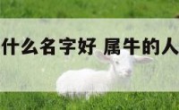 属牛的人起什么名字好 属牛的人起什么名字有好运