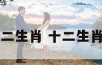 民俗文化十二生肖 十二生肖的民俗文化