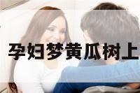 孕妇梦黄瓜 孕妇梦黄瓜树上长好多黄瓜