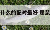 属鼠的和属什么的配对最好 属鼠的和什么属相比较好