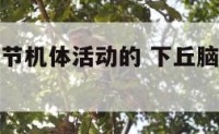 下丘脑是调节机体活动的 下丘脑是调节机体活动的吗