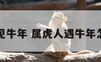 属虎见牛年 属虎人遇牛年怎么样