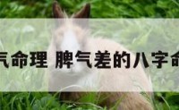 脾气命理 脾气差的八字命理