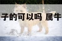 属牛的和属兔子的可以吗 属牛的和属兔子的和不和