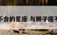 和狮子座不合的星座 与狮子座不合的星座