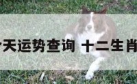12生肖今天运势查询 十二生肖今天运势
