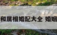 命理婚配和属相婚配大全 婚姻命格相配