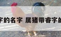属猪带睿字的名字 属猪带睿字的名字大全