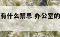 办公室花卉有什么禁忌 办公室的花卉摆放风水