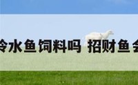 招财鱼吃冷水鱼饲料吗 招财鱼会吃水草吗