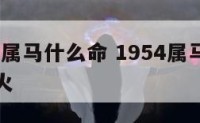 1954年属马什么命 1954属马什么命金木水火