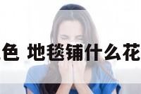 开运地毯花色 地毯铺什么花纹比较旺财