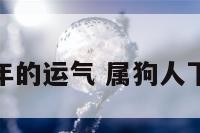 属狗的下年的运气 属狗人下半年运程