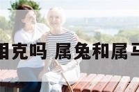属兔属马的相克吗 属兔和属马相克怎么办
