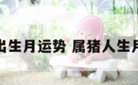 属猪出生月运势 属猪人生月命运