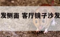 客厅镜子沙发侧面 客厅镜子沙发侧面放什么好