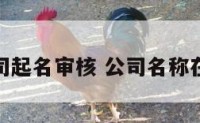 如何给公司起名审核 公司名称在哪里审核