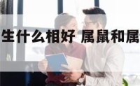 属鼠和属兔生什么相好 属鼠和属兔生什么生肖宝宝好