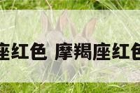 摩羯座红色 摩羯座红色头像