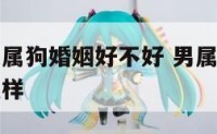 男属狗和女属狗婚姻好不好 男属狗和女属狗的婚姻怎么样
