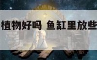 鱼缸里放些植物好吗 鱼缸里放些植物好吗图片