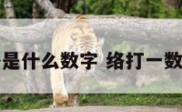 络是什么数字 络打一数字