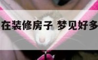 梦见好几家在装修房子 梦见好多人在装修一幢房子