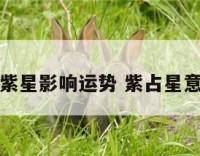 紫星影响运势 紫占星意
