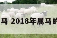 2018年属马 2018年属马的是什么命