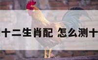 如何测十二生肖配 怎么测十二生肖