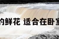 适合在卧室的鲜花 适合在卧室的鲜花品种