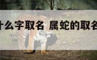 属蛇忌讳什么字取名 属蛇的取名宜用字,忌用字