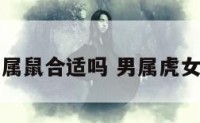 男属虎女属鼠合适吗 男属虎女属鼠好吗
