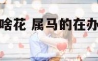 属马办公室养啥花 属马的在办公室放什么植物招财