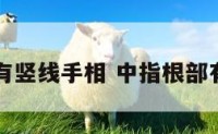 中指根部有竖线手相 中指根部有横纹寓意