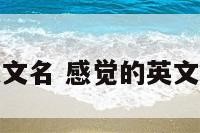 有感觉的英文名 感觉的英文名词怎么写