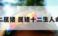 我家十二属猪 属猪十二生人命好不好
