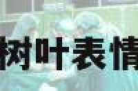 qq网名带树叶表情 树叶符号