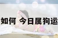 狗运势如何 今日属狗运势如何