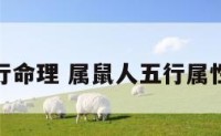 属鼠五行命理 属鼠人五行属性是什么