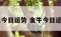 金牛11今日运势 金牛今日运势最新
