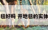 开运地毯好吗 开地毯的实体店行吗