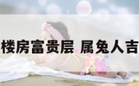 属兔人楼房富贵层 属兔人吉利楼层