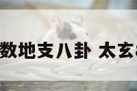 太玄数地支八卦 太玄81卦