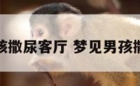 梦见男孩撒尿客厅 梦见男孩撒尿拉屎